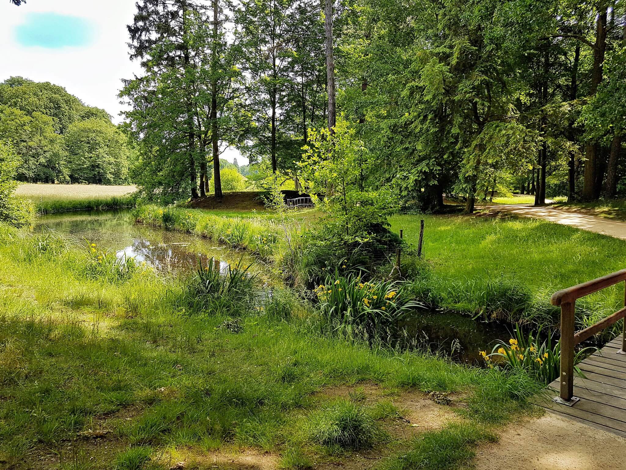 eine Brücke führt über einen Wasserlauf im Park Branitz