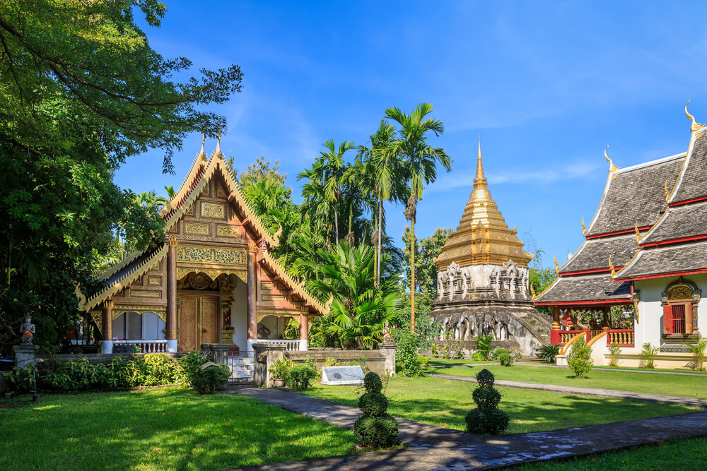 buddhistische Tempel inmitten von Palmen