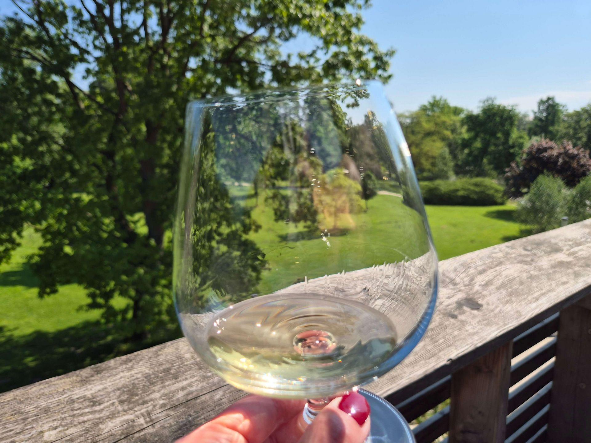 Whiskyglas mit einem Schluck Whisky vor der grünen Kulisse des Kurparks Bad Sassendorf bei sonnigem Wetter.